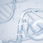 アルファアルブチン 参考図