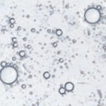 トラネキサム酸 参考図