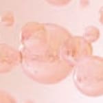 PDRN（ポリデオキシリボヌクレオチド） 参考図